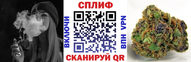 Цена Вятские Поляны Канабис  СОЛЬ  NBOMe  Бутират  Меф мяу мяу  ГАШ 