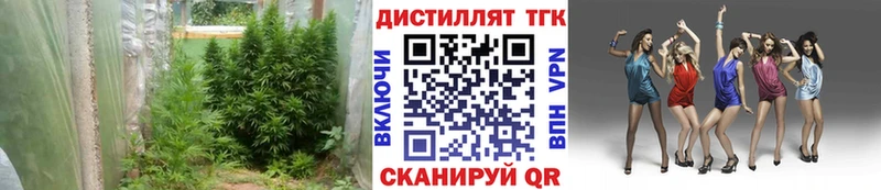 как найти Вятские Поляны Дистиллят ТГК Wax